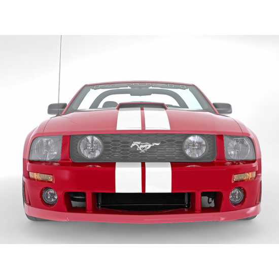 Roush Front fascia Mustang 2005-2009